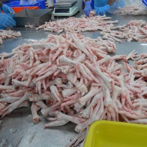 Frozen Chicken Feet