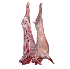 Frozen Buffalo Half Carcass